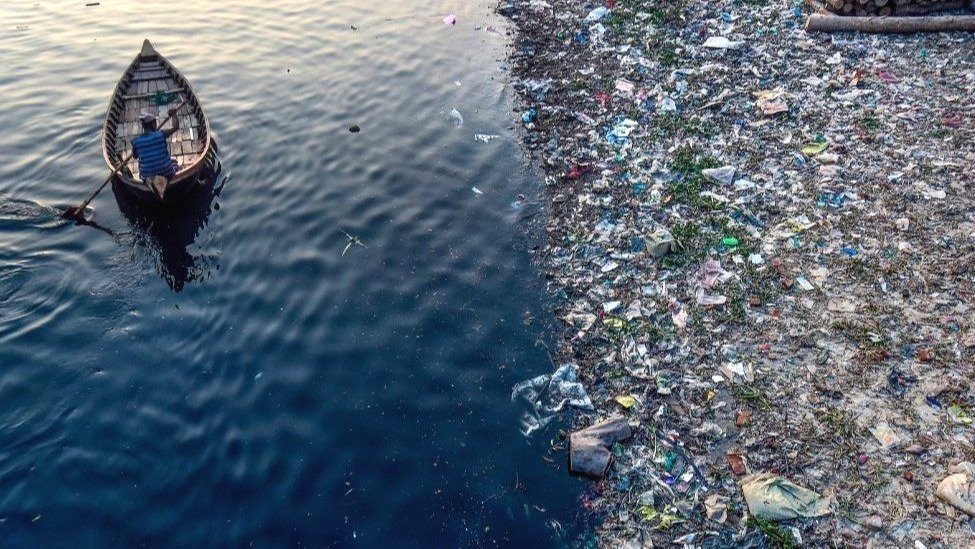 Petition · Bring Awareness to Littering in Massachusetts United