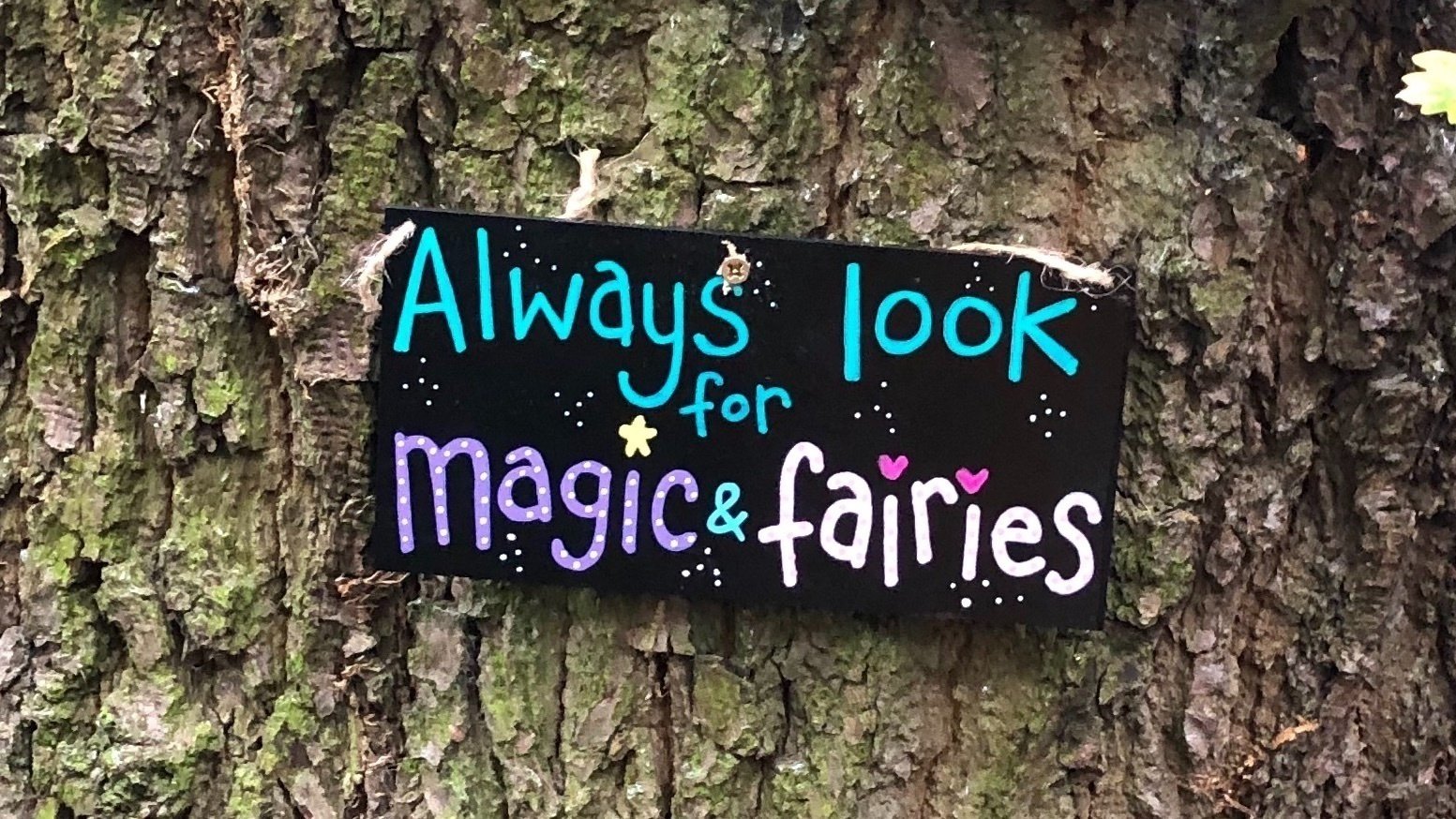 Petition · Save The Carrwood Fairy Trail in Bramhall ·