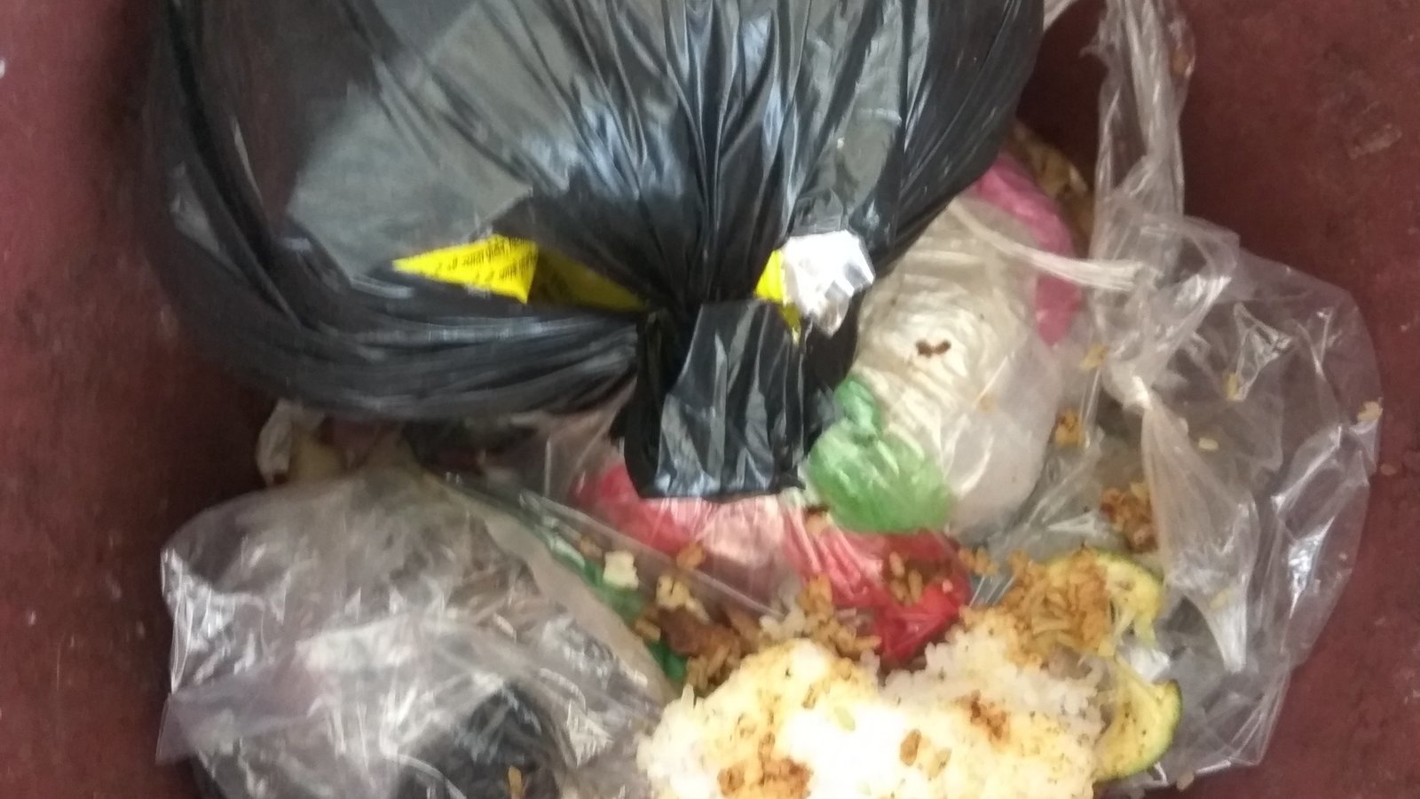 Petition · Ban production and stop using of polythene bags. India
