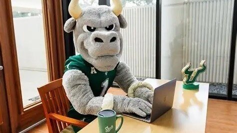 Petition · Revise The Academic Calendar at USF for a Longer Add/Drop ...