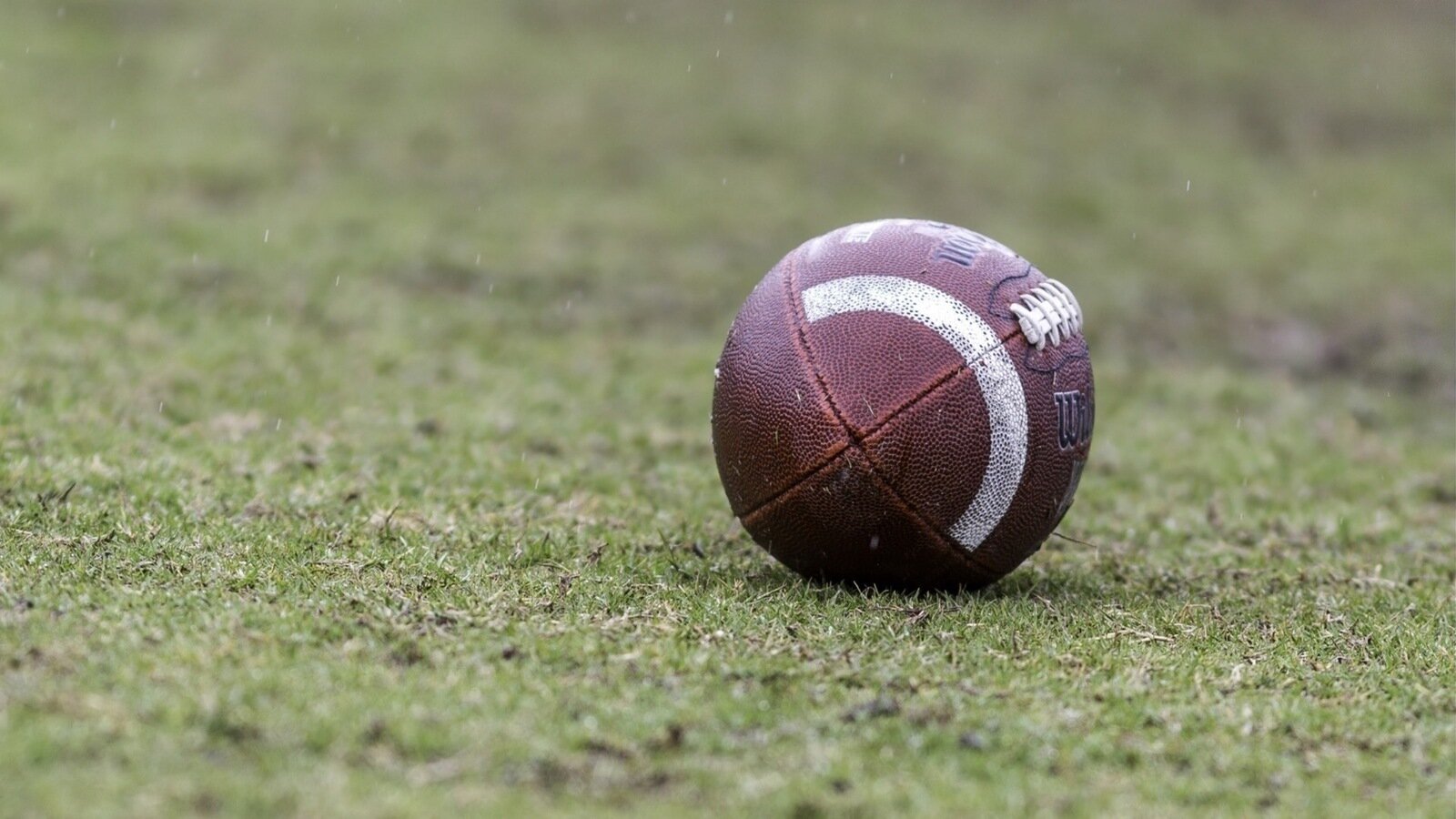 Petition · Stop usage of leather in NFL footballs United States