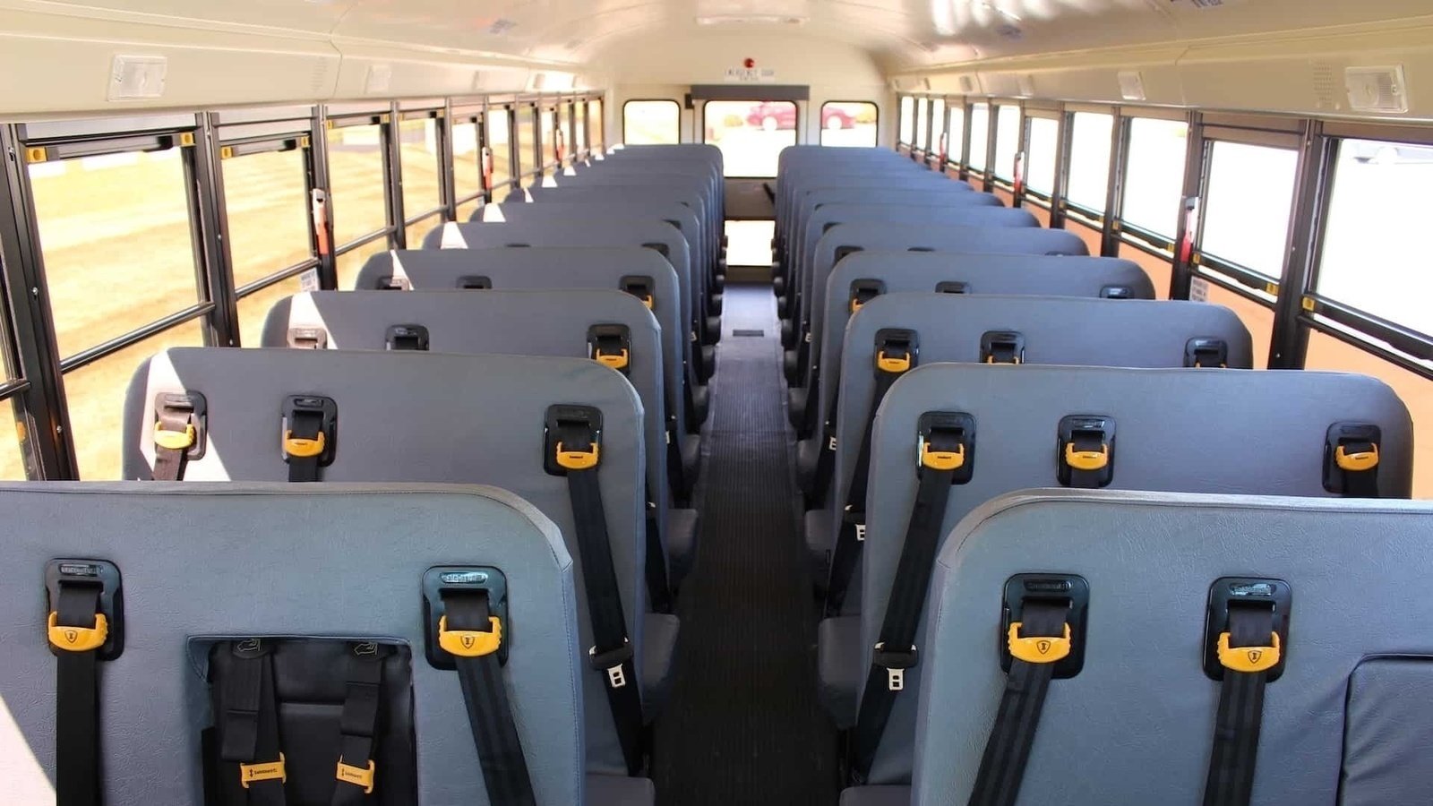 Petition · Seat belts available for all of school buses United States ·