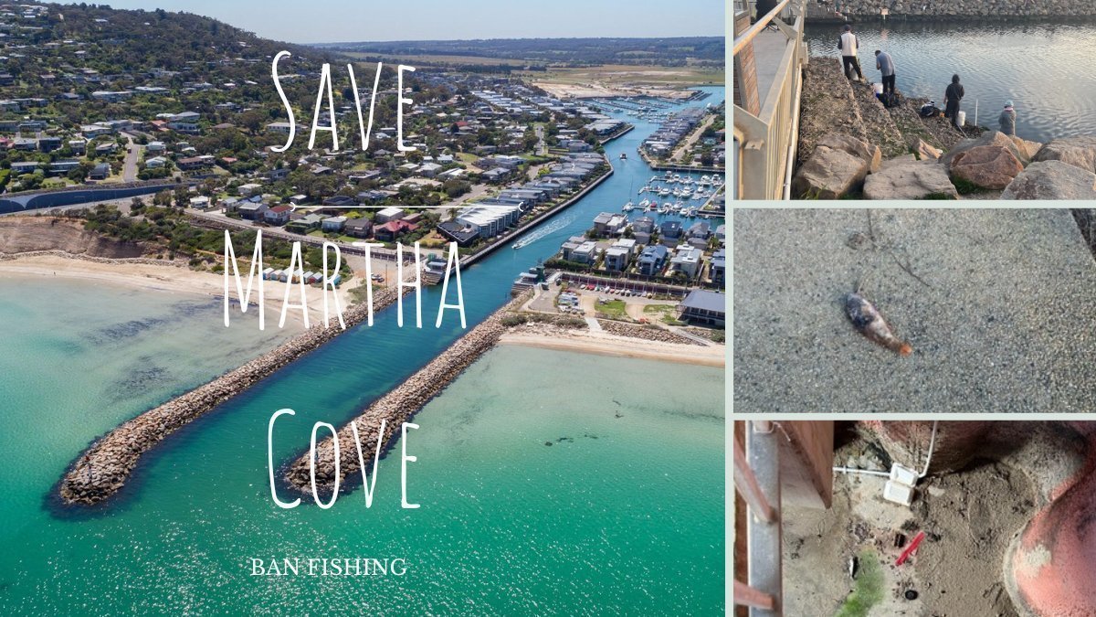 Petition · Save Martha Cove Ban fishing in Martha Cove Marina
