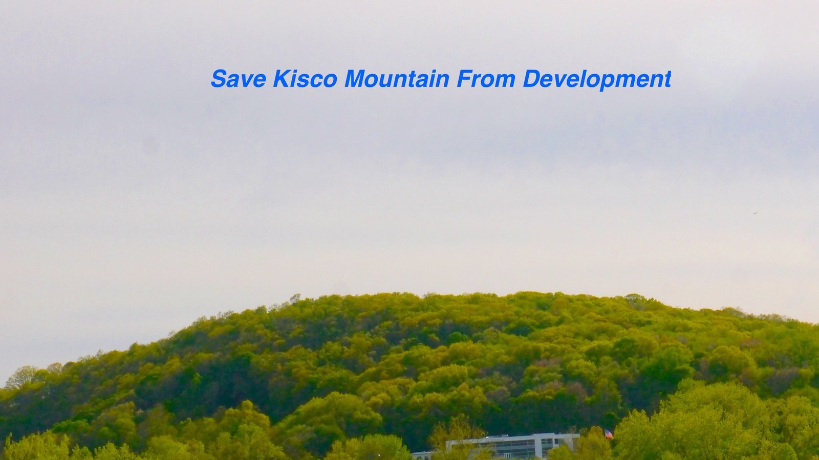 Petition · Help Save Kisco Mountain from Development United States