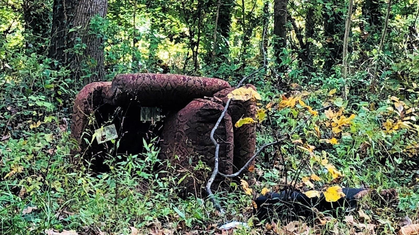 Petition · RVACLEAN Help Resolve Richmond's Illegal Dumping Problem