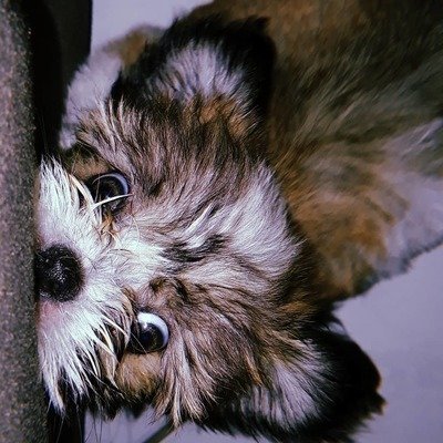 ChangeOrg profile picture for @fabrizio