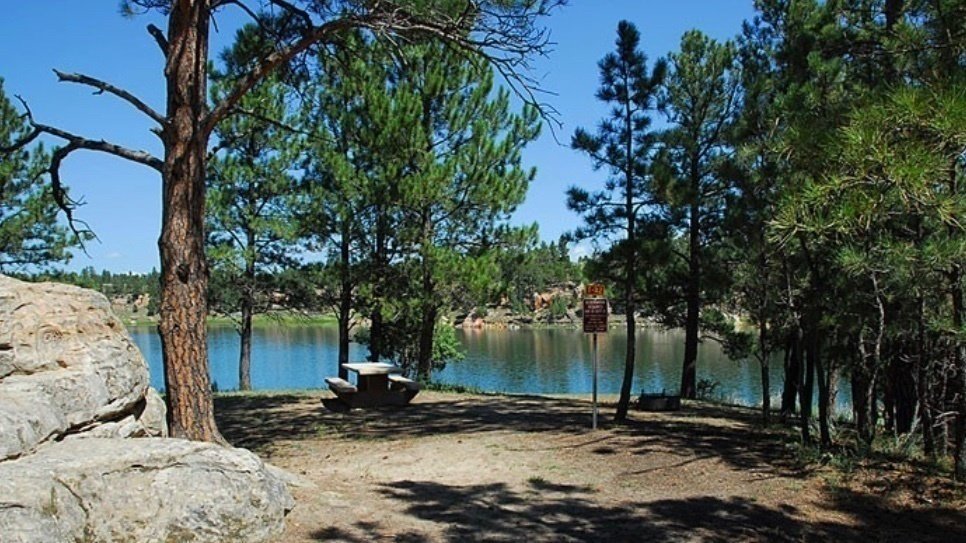 Petition · The right to camp without a reservation United States ·