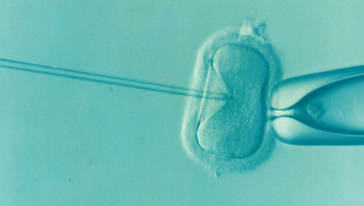 Petition Increase NHS Funded IVF Age Limit To 40 In Buckinghamshire petition-increase-nhs-funded-ivf-age-limit-to-40-in-buckinghamshire