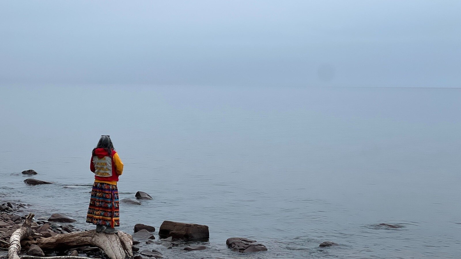 Petition · FOR THE RIGHTS OF LAKE SUPERIOR AND ITS RECOGNITION AS A U ...