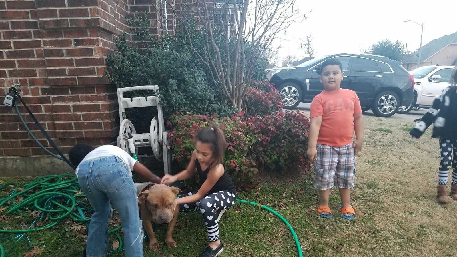 Petition · Please help us save our Red ·