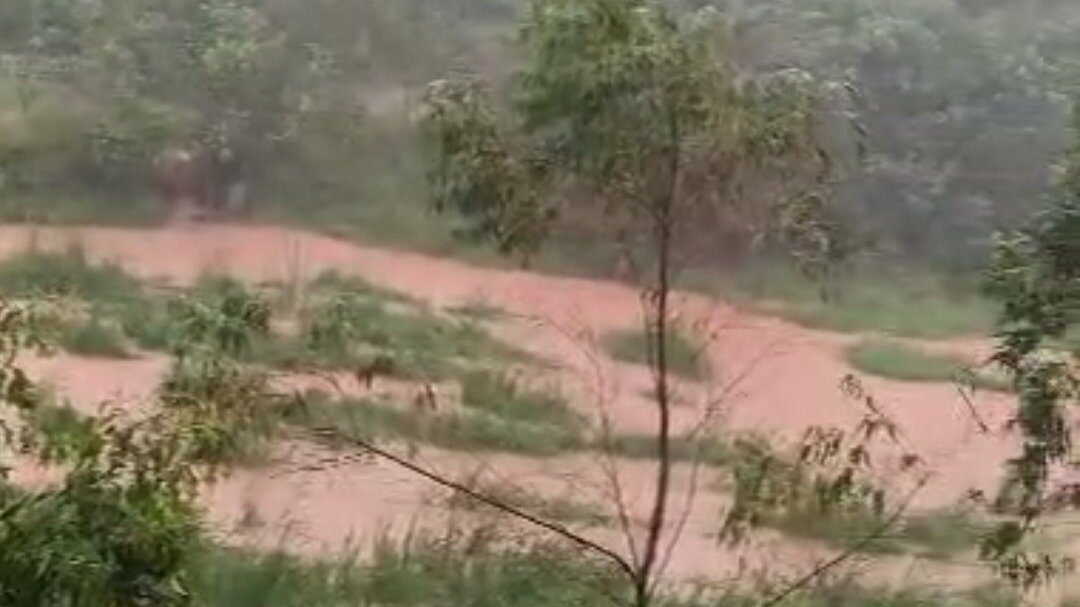 Abaixo-assinado · Abaixo-assinado para providências e investigação de ...