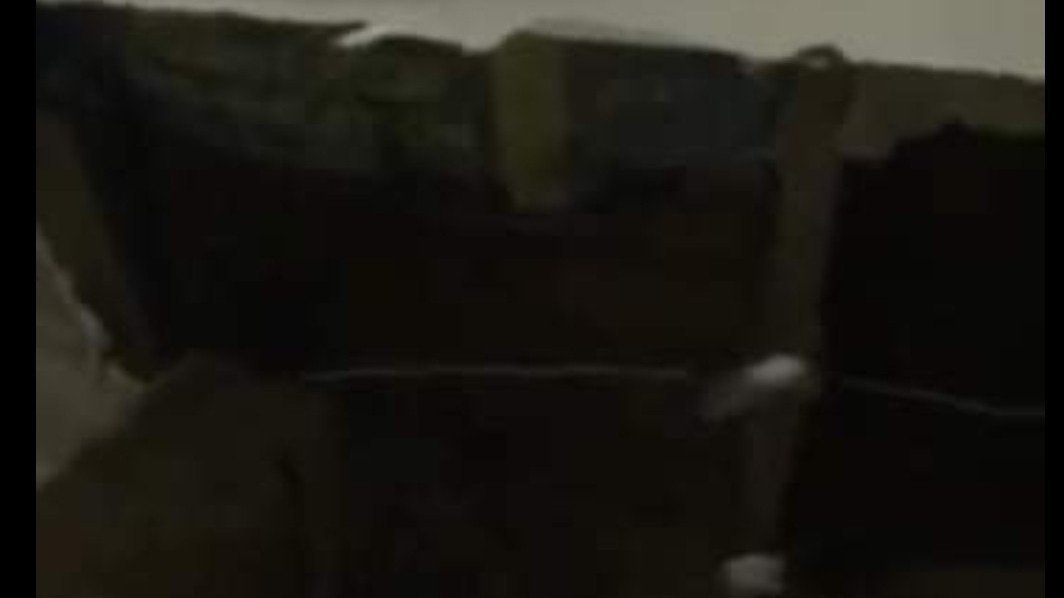 Petition · SALEM NEW JERSEY United States ·