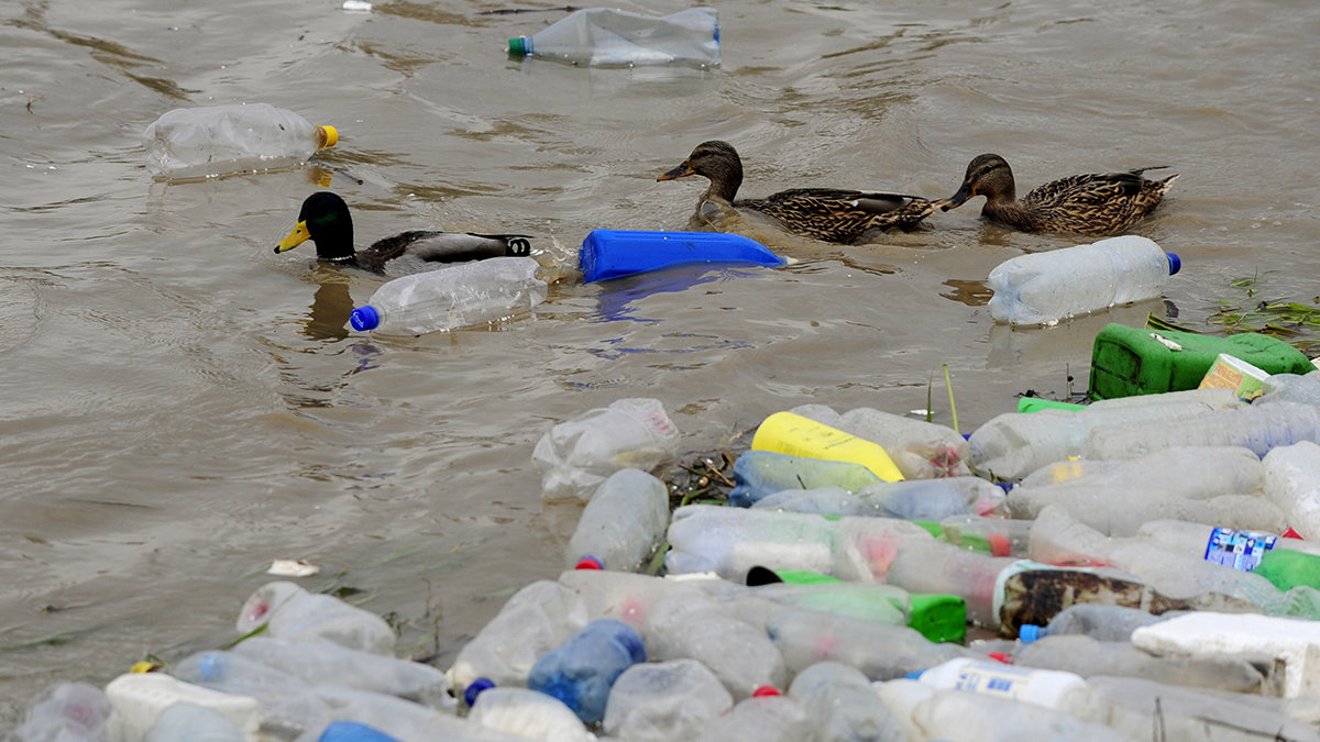 Petition · Over a Billion reasons why Ontario needs a Deposit on