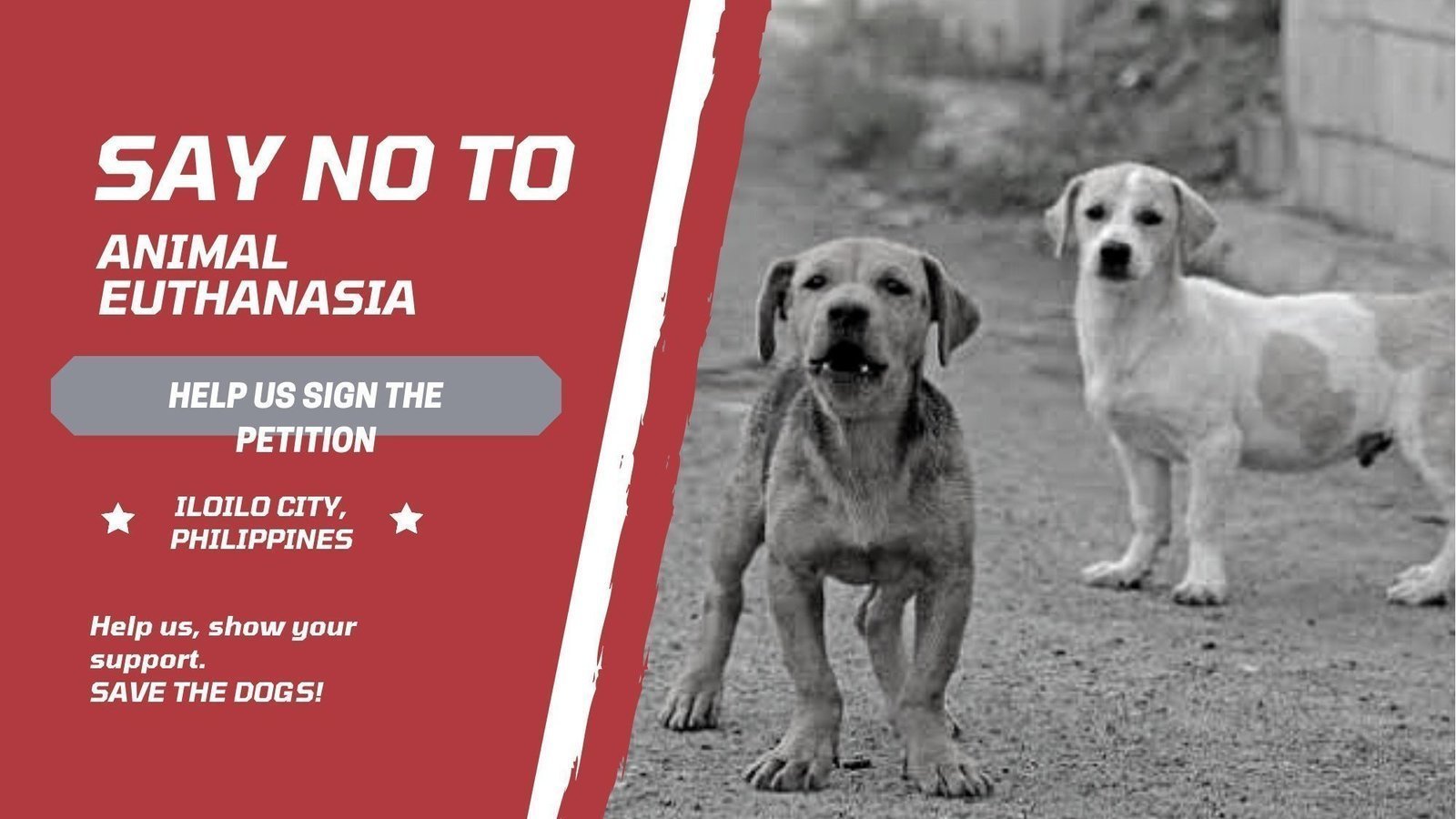 Petition · SAY NO TO EUTHANASIA IN STRAY DOGS! Philippines ·