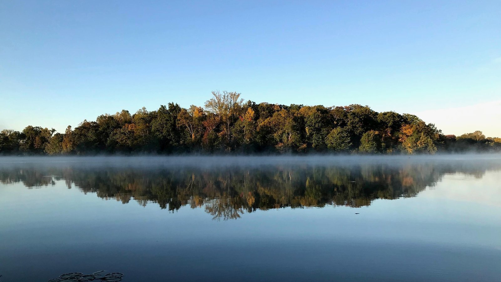 Petition · No DriveThru Taco Bell at Rte. 6 and Mohegan United