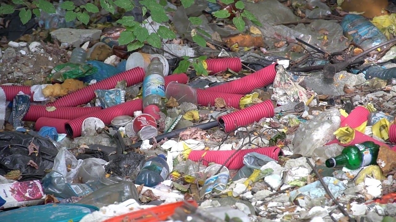 Petition · Stop dumping waste around our school! Bucharest, Romania