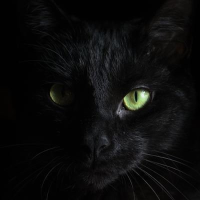 ChangeOrg profile picture for @Raya
