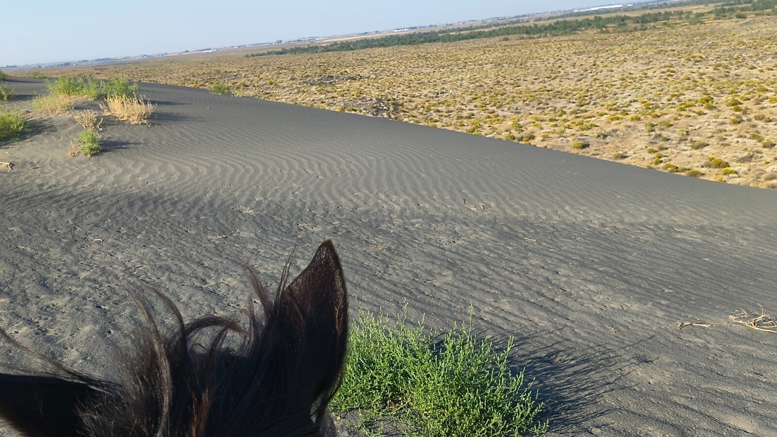 Petition · Create More Equestrian trails in Moses Lake ·