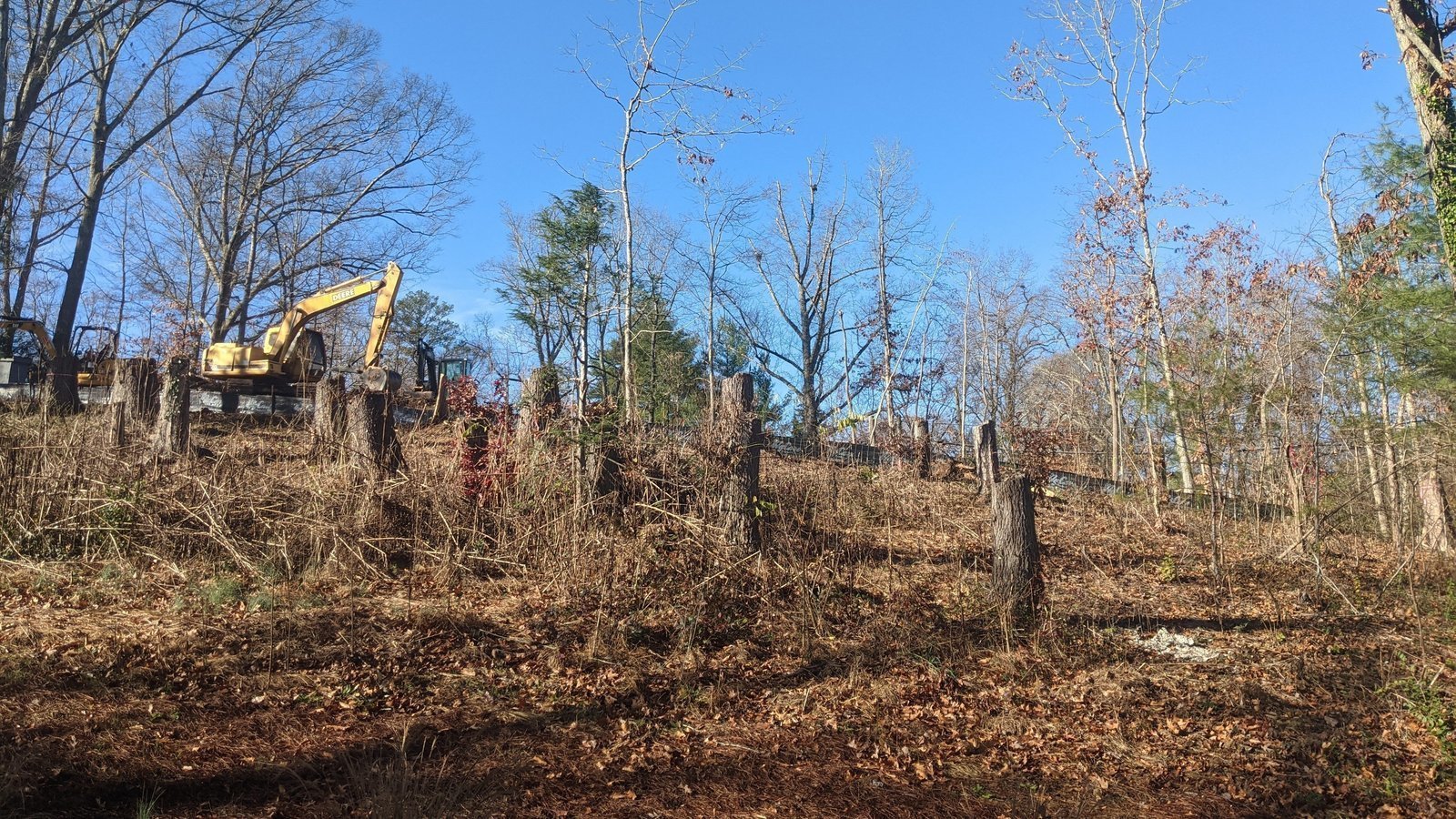 Petition · Protect County Trees Pass A Tree Canopy Protection Ordinance Now! United