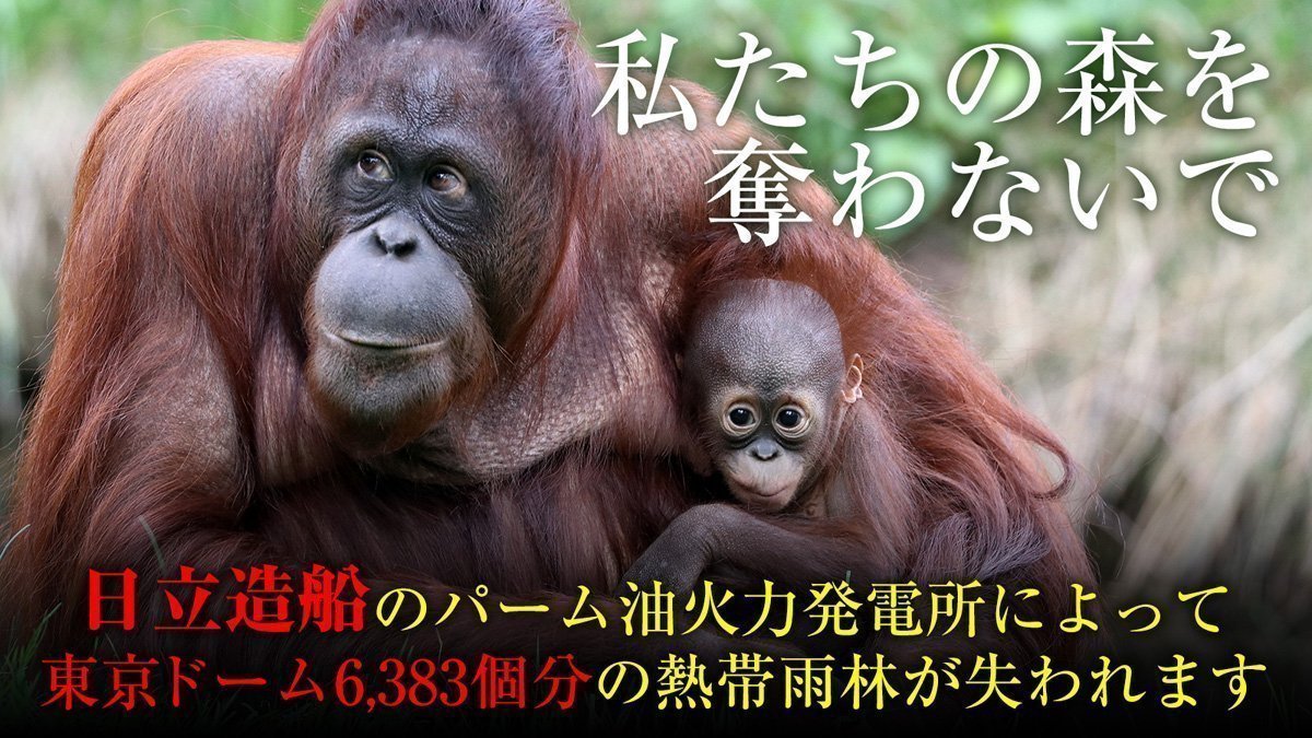 キャンペーン 環境破壊を推し進める大企業との戦いに力を貸して下さい ラスボスは日立造船 Change Org