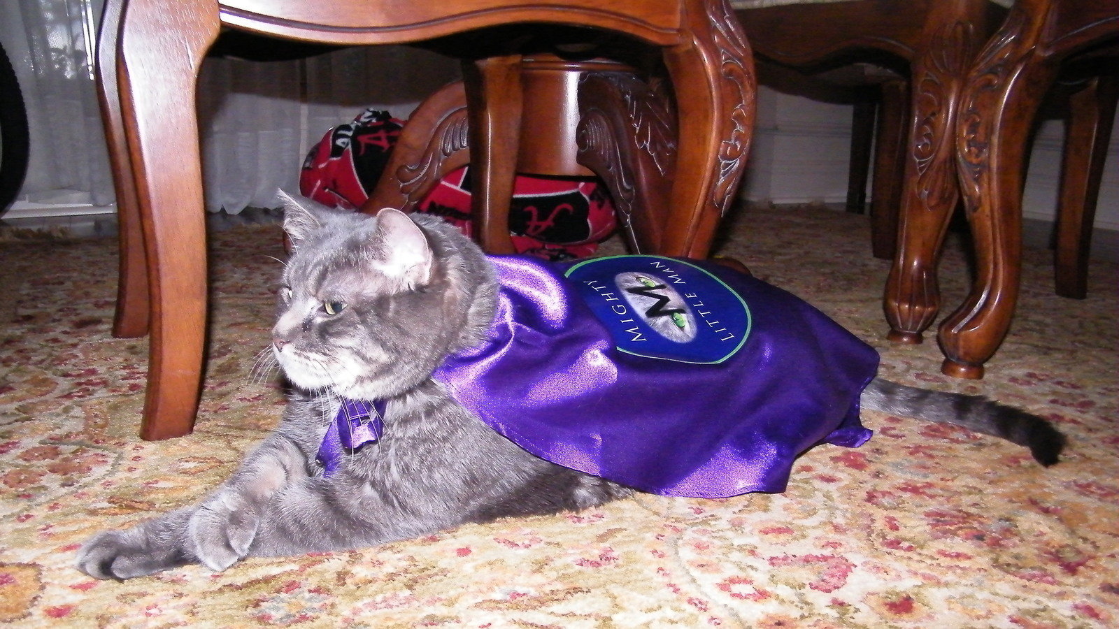 Petition · Our pets are dying from illegal pet food ingredients! We need "Little Man's Law