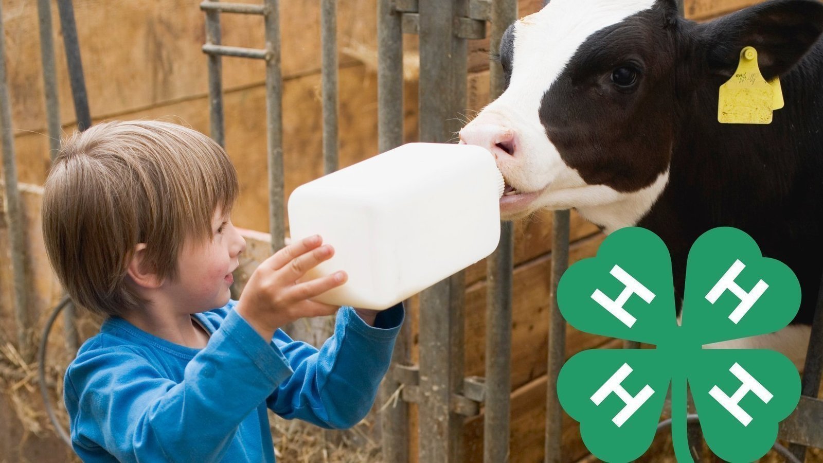 Petition · Saving the UW Extension by Reinstating Wheel Tax United