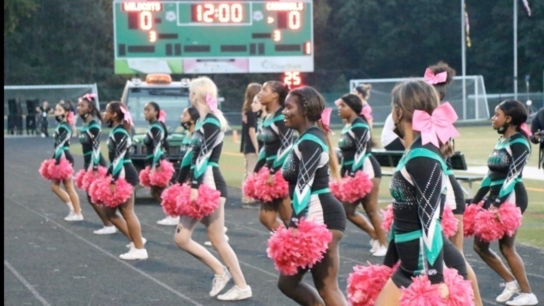 Petition · Cheer is not just something where you wave poms around it is