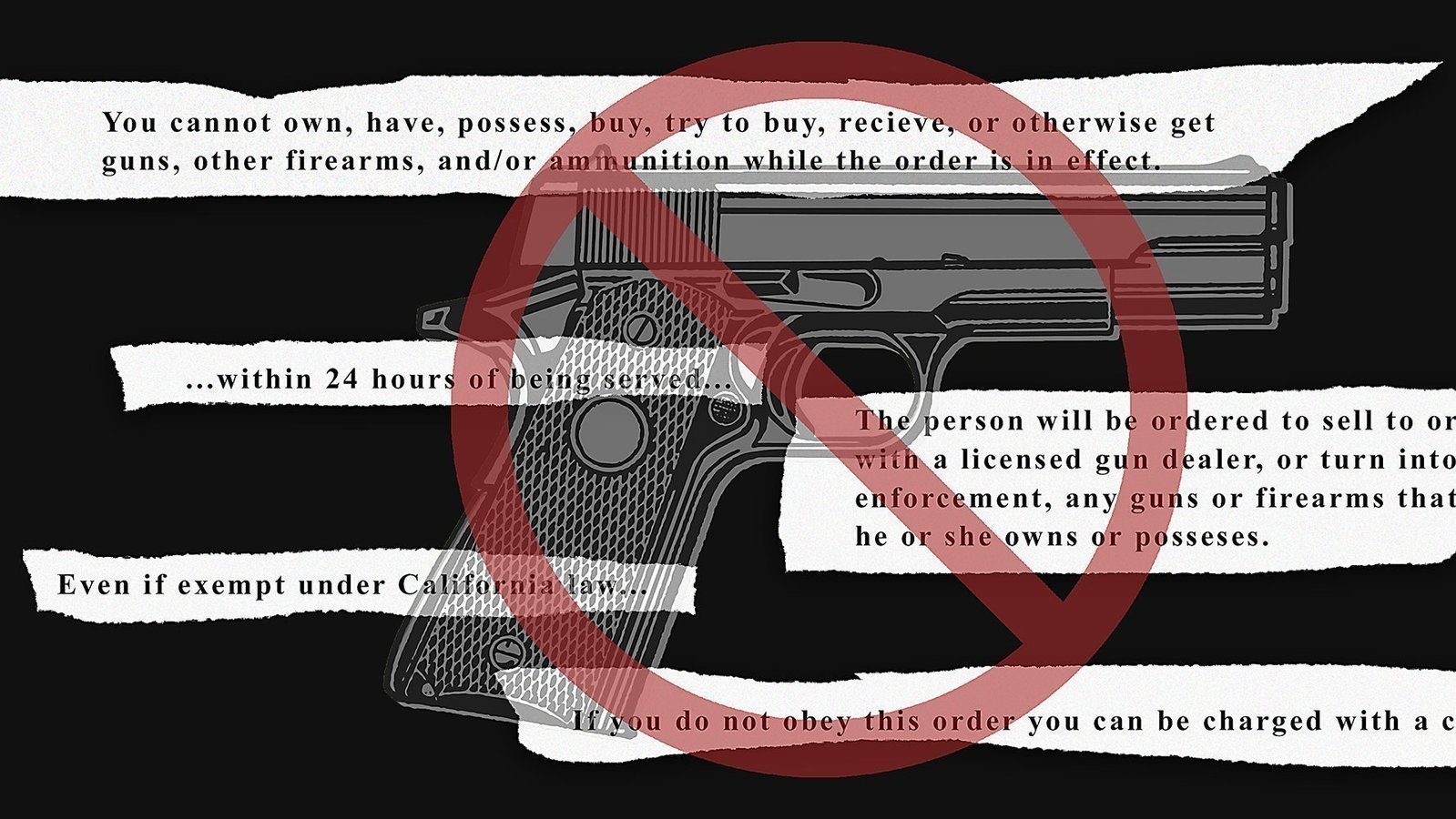 Petition · Change gun laws and reduce gun violence United States