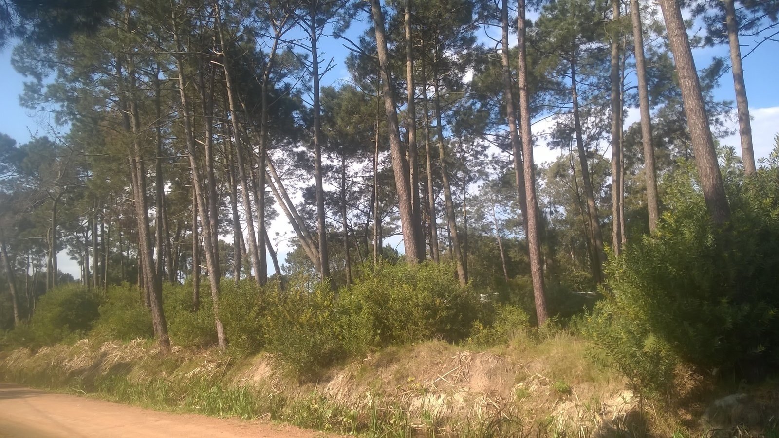 Petición · No al lago artificial en la avda 60 mts parque del plata