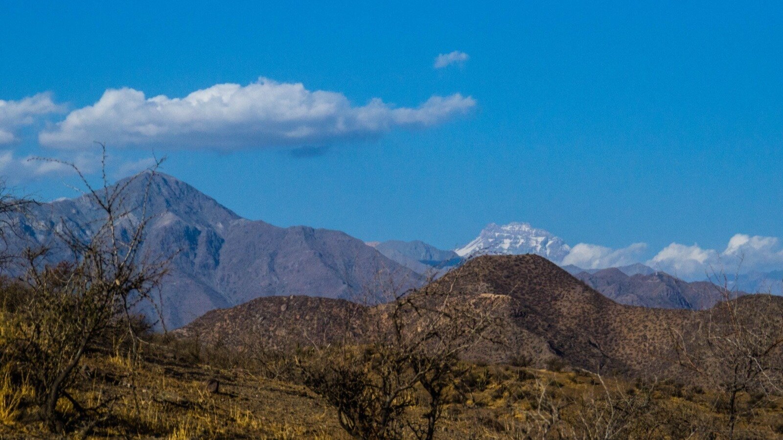Petición · CERROS KURAPILU - MERKACHA: ÁREA PROTEGIDA PARA LA COMUNIDAD ...