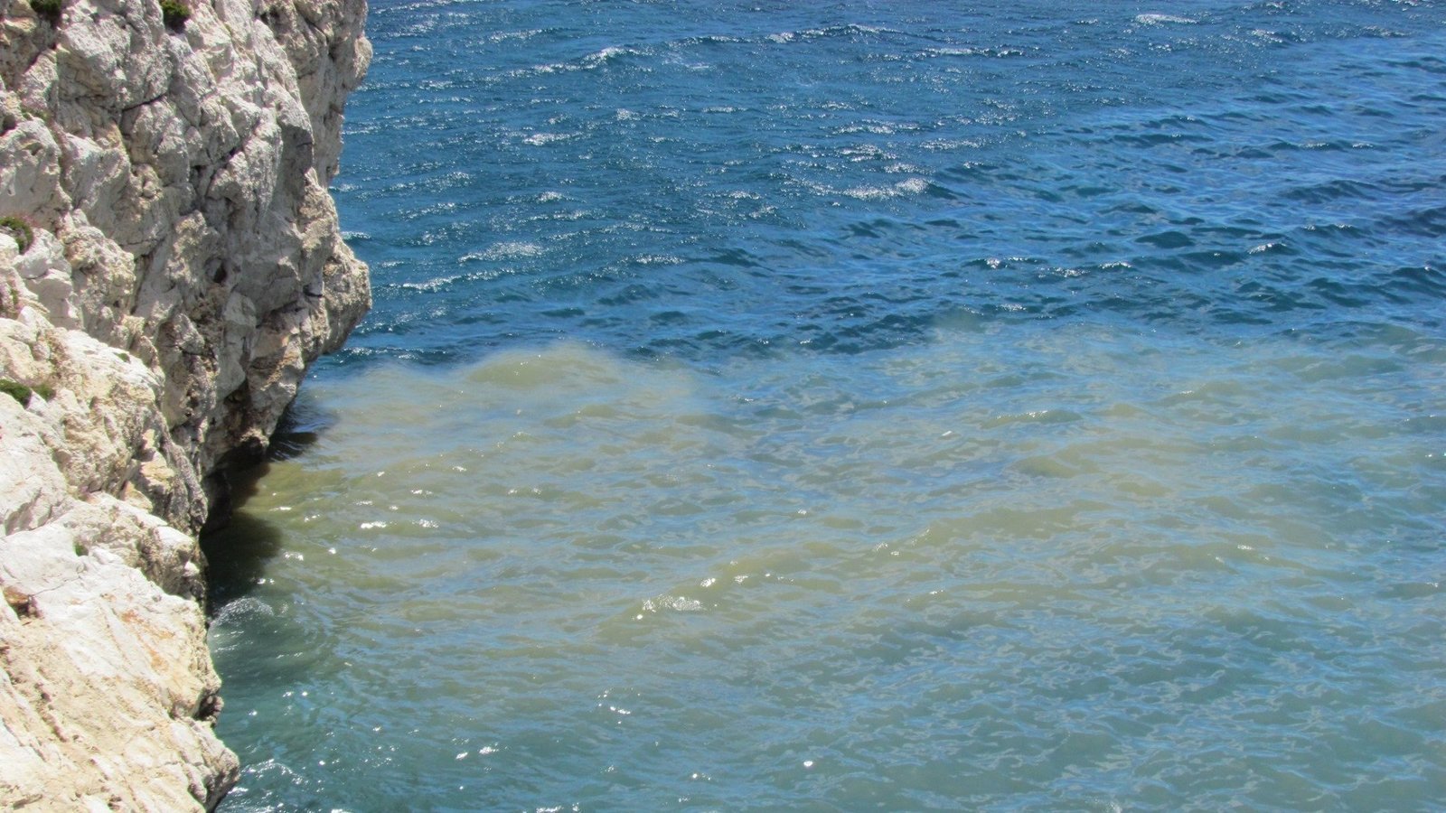 Petition update &middot; RAW SEWAGE DUMPED IN THE SEA AT EUROPA POINT &middot; Change.org qhiukiqrihdprw