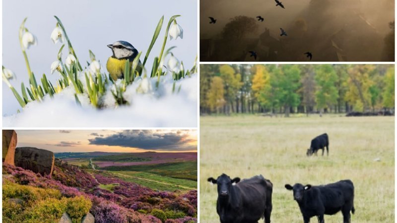 Petition · Wildlife centres and conservation · Change.org