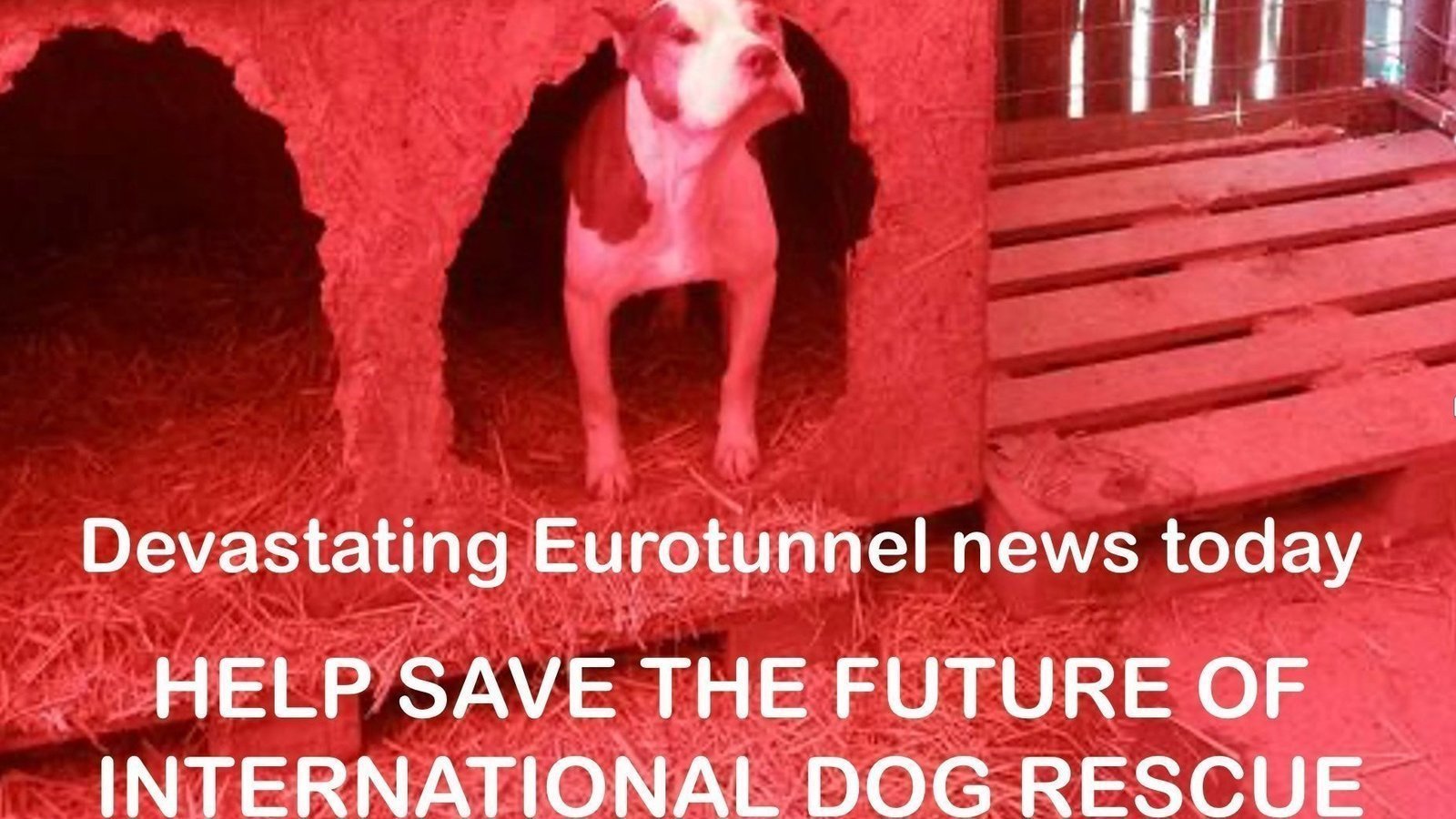 Petition · Reverse draconian decision by Eurotunnel costing the lives