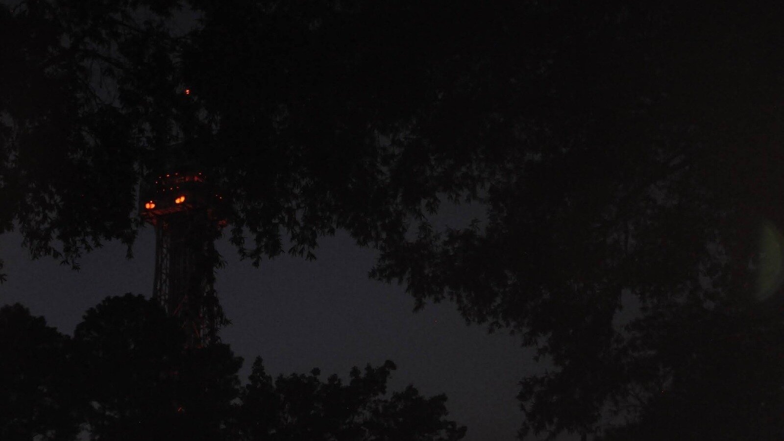 Petition · Allow Kings Dominion Haunt Actors to Pose for Photos