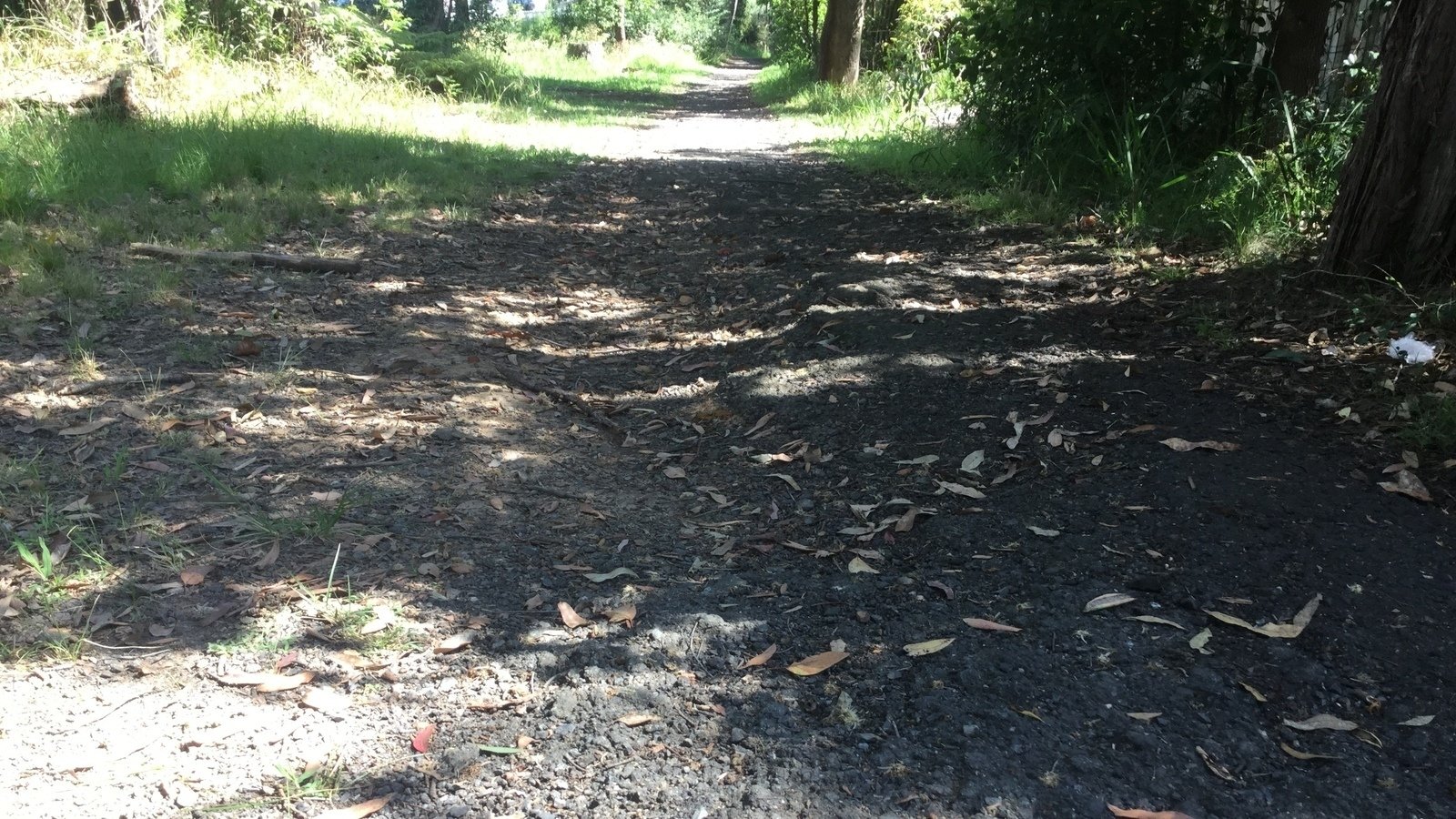 Unsafe Pathways Petition · Replace the unsafe pathway between Ballorok Rd and the Avoca ...
