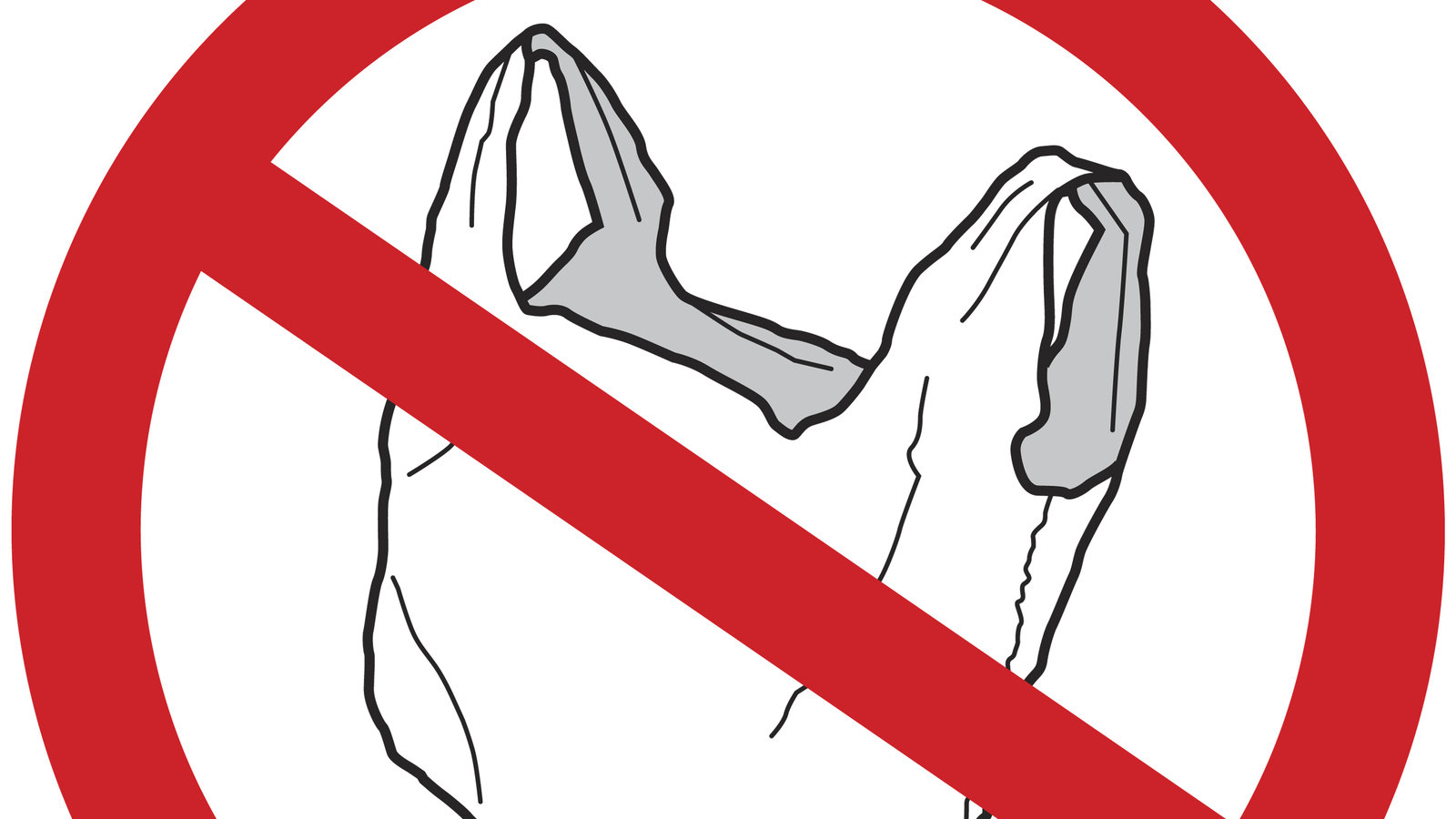 Petition · Ban Plastic Bags in Queensland ·