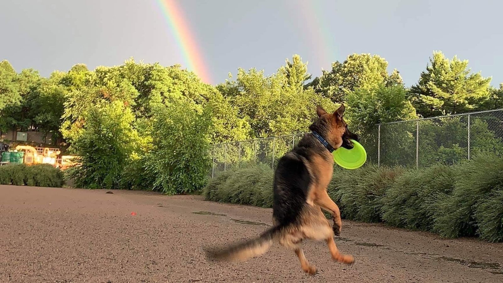 Petition · Install Water Source and Flood Light at Lyndale Farmstead