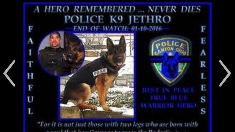 Petition · PROTECT ALL K9 OFFICERS WHO ARE KILLED IN THE LINE OF DUTY ...