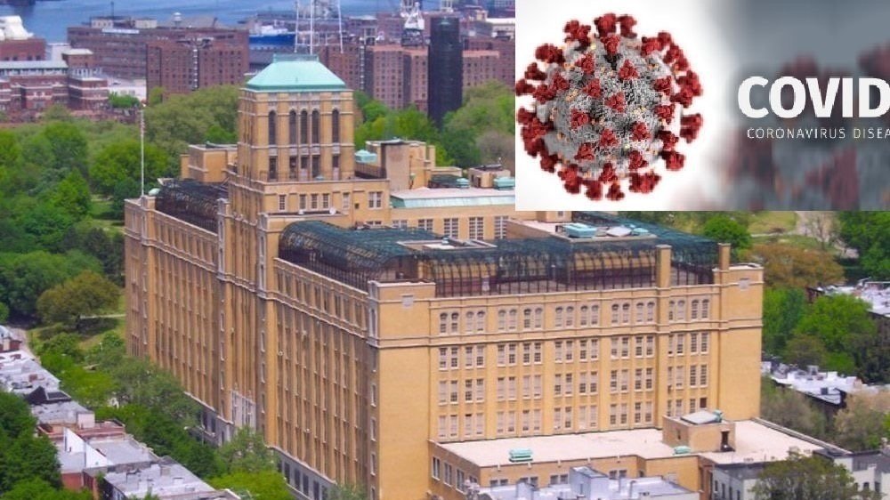 petition-petition-to-have-brooklyn-technical-high-school-treated-as-a