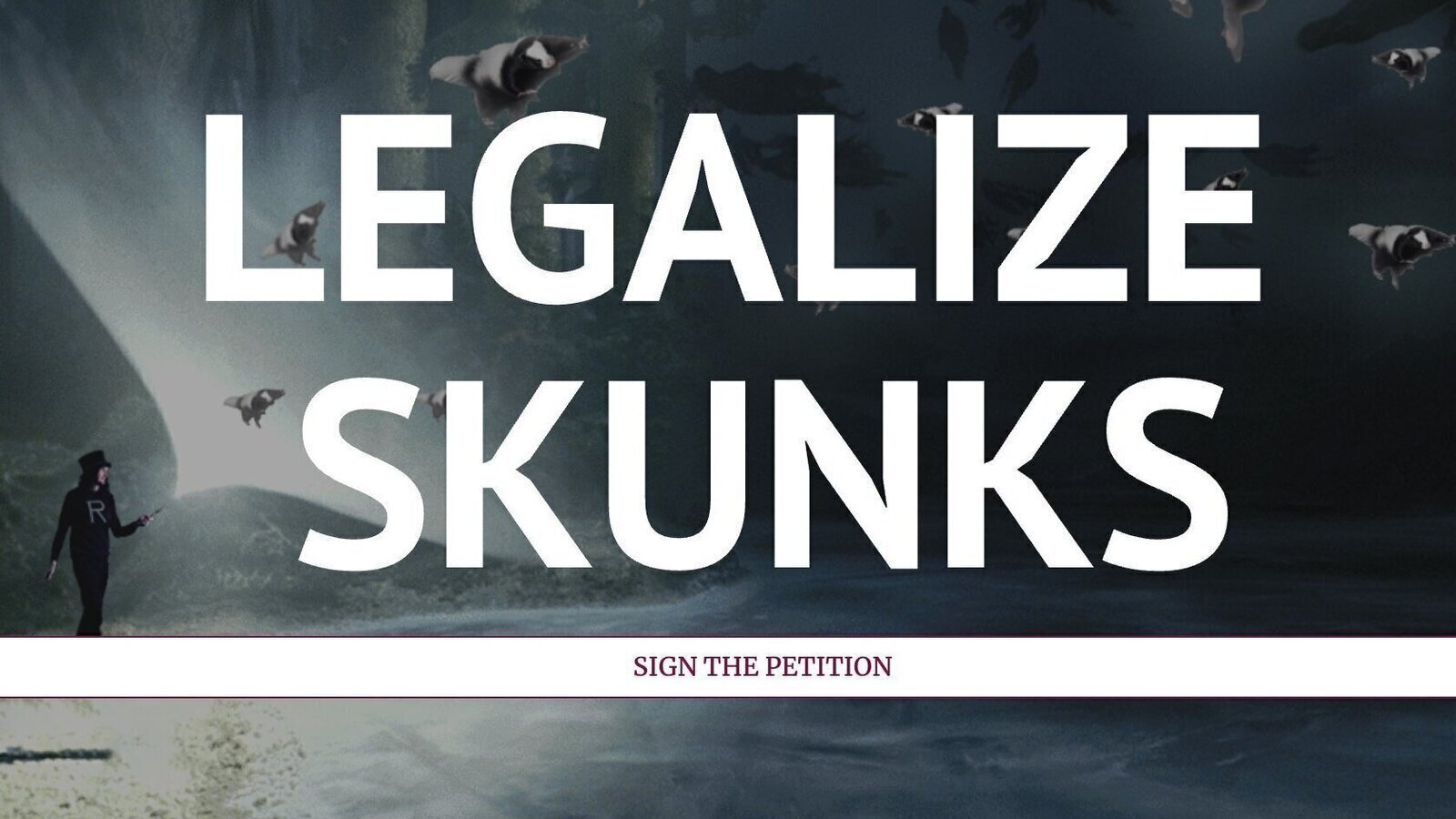 Petition · LEGALIZE SKUNKS - Skunks are Legal to Kill & Illegal to Have