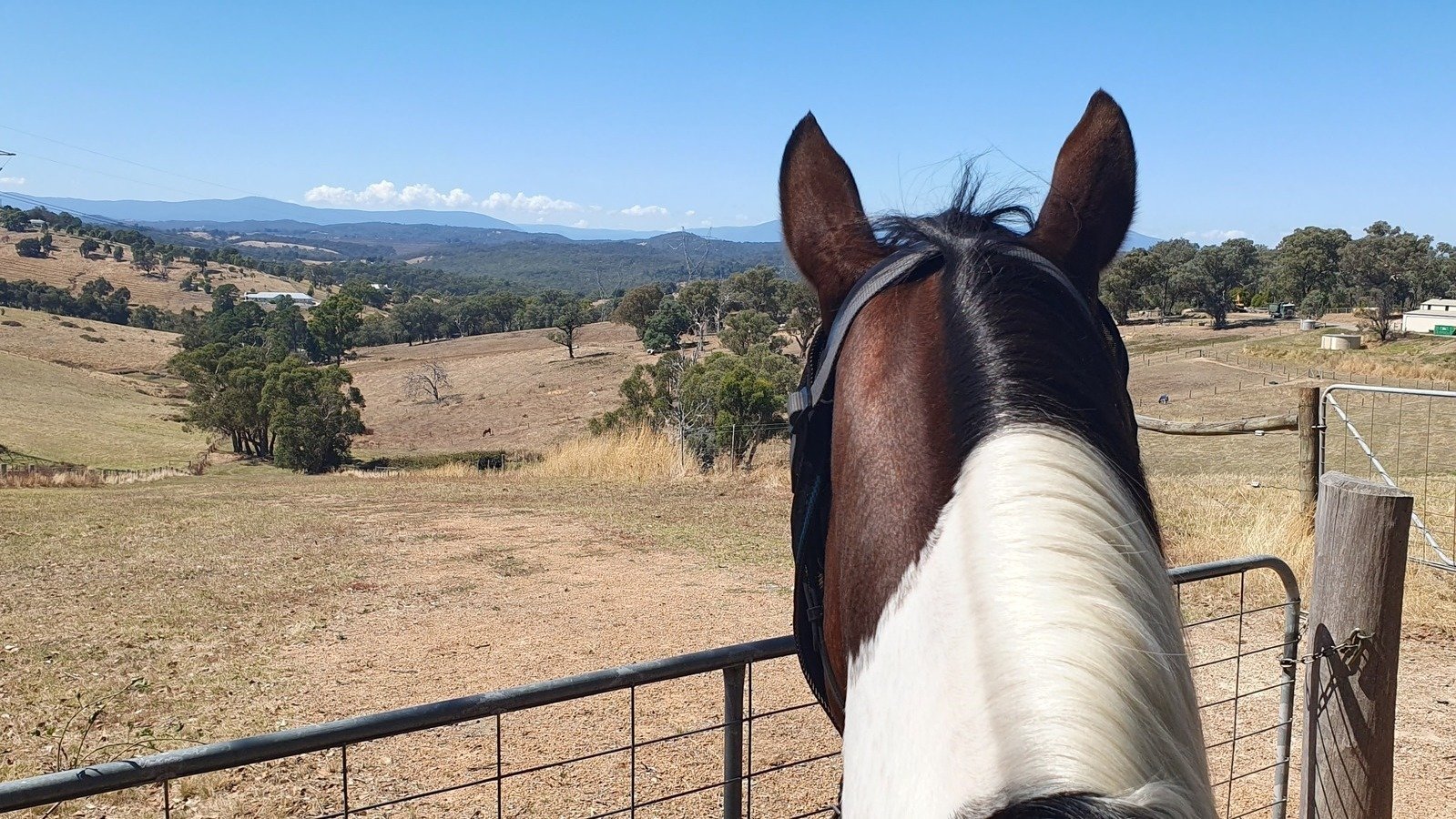 Petition · Petition MRSC to allow horse access to the new Woodend to