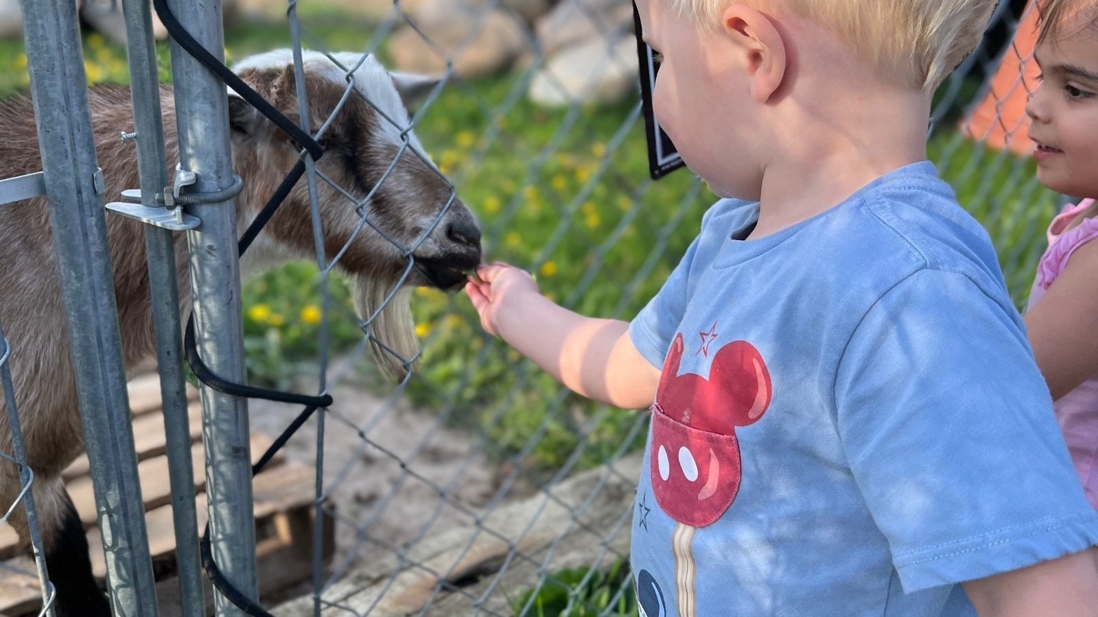 Petition · Save Lake Elmo’s Goats Lake Elmo, United States ·