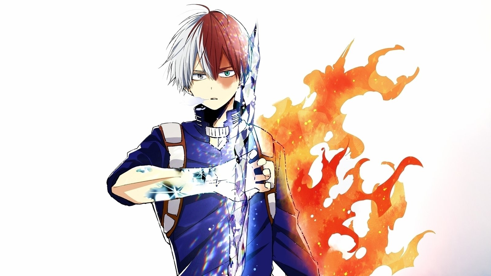 Petition · getting shoto todoroki a fireproof shirt ·