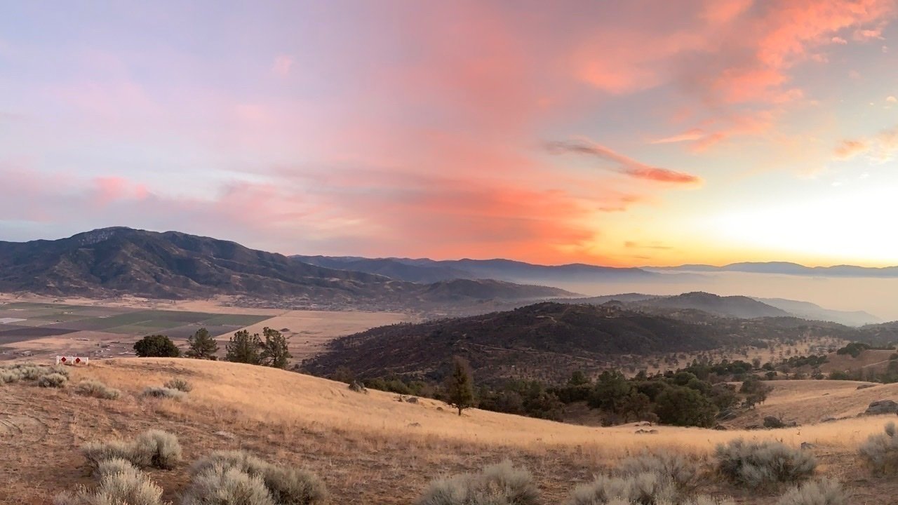 Petition · We hope to achieve enough signatures to remove as a ND Lead