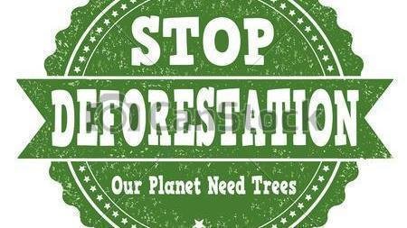 Petition · Raise awareness for Deforestation In The US - Pakistan 