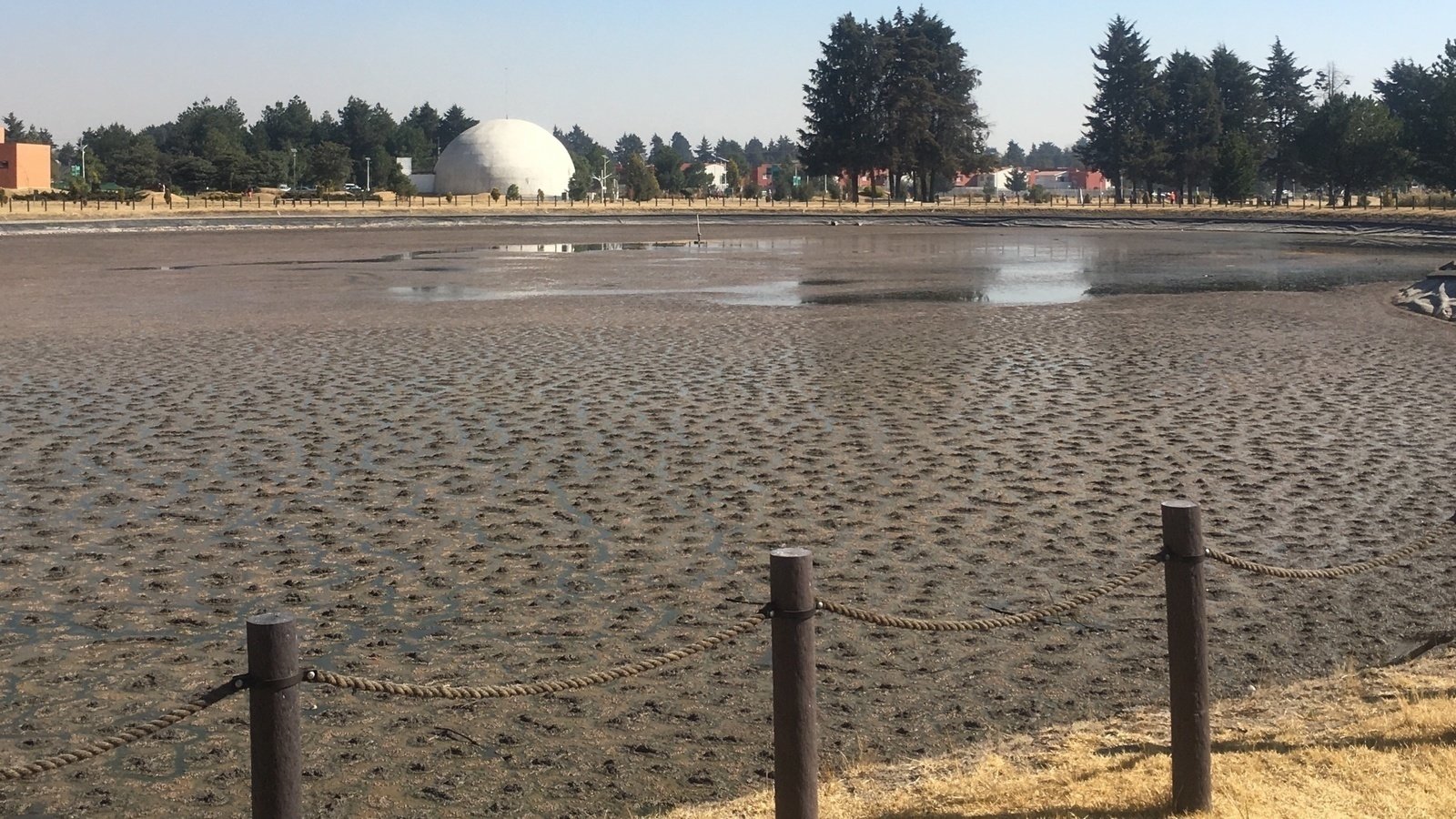 Petición · Mantenimiento de la Laguna del Parque Ambiental Bicentenario ...