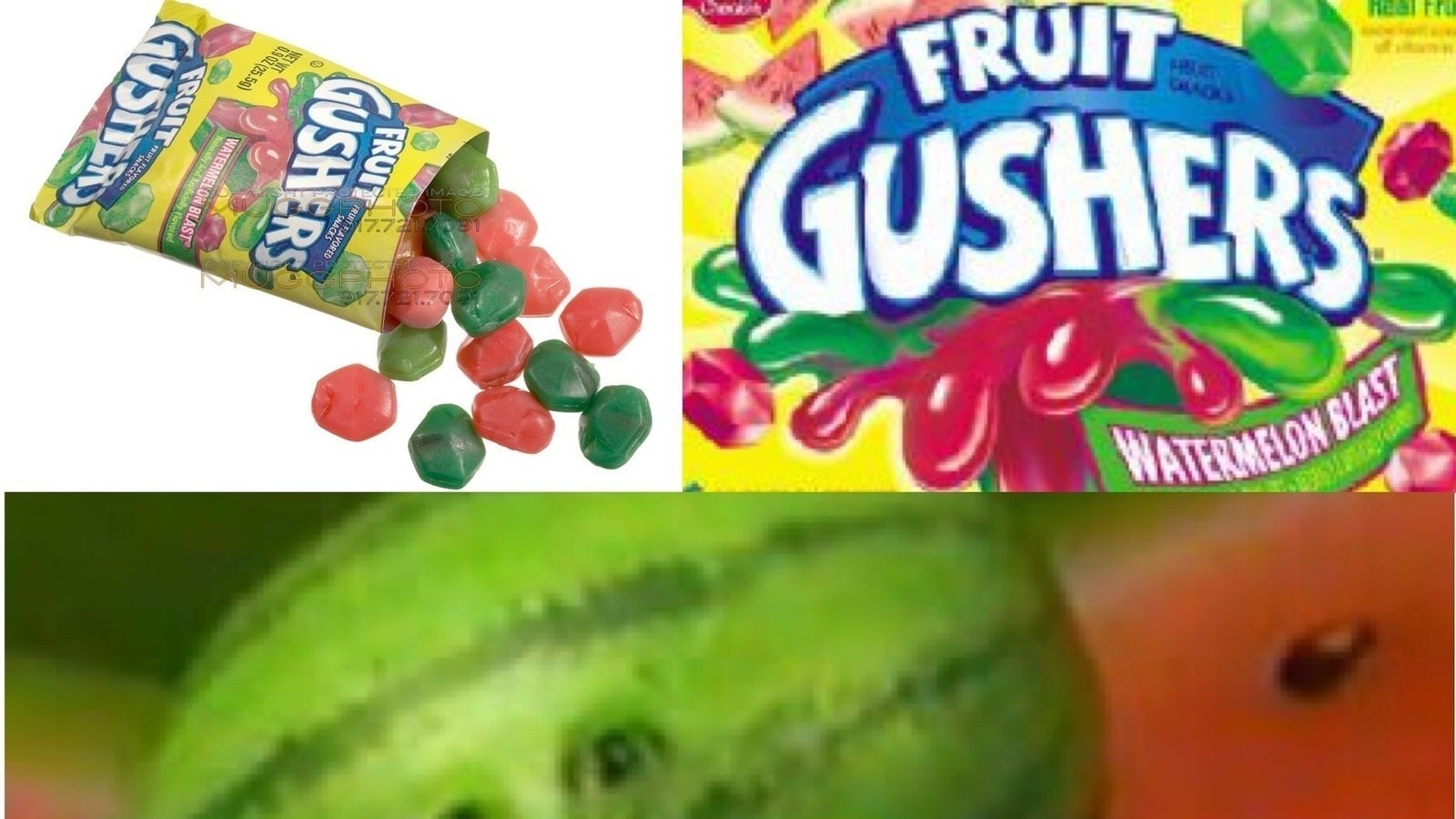 Petition · BRING BACK WATERMELON GUSHERS United States ·