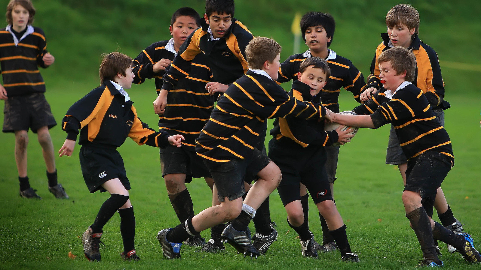 Petition · To ban rugby in schools ·