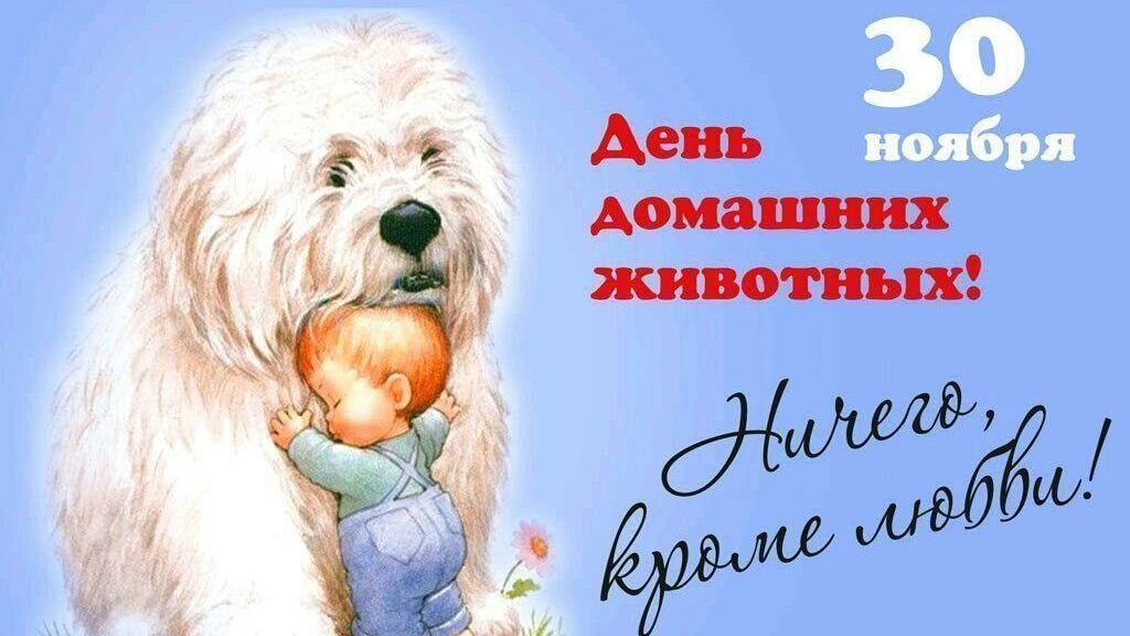 тренировках открытки день домашних животных 30 ноября изолированы друг