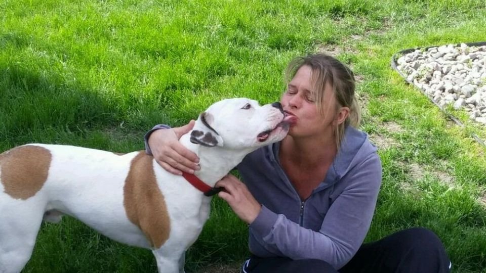 Petition · Change Michigan Dog Law 1919 Protect your Dog & your rights